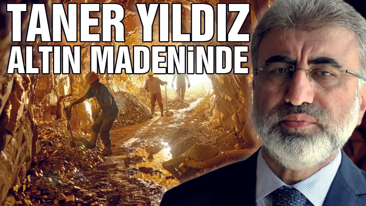 Taner Yıldız, Altın Madenine Yönetici Oldu