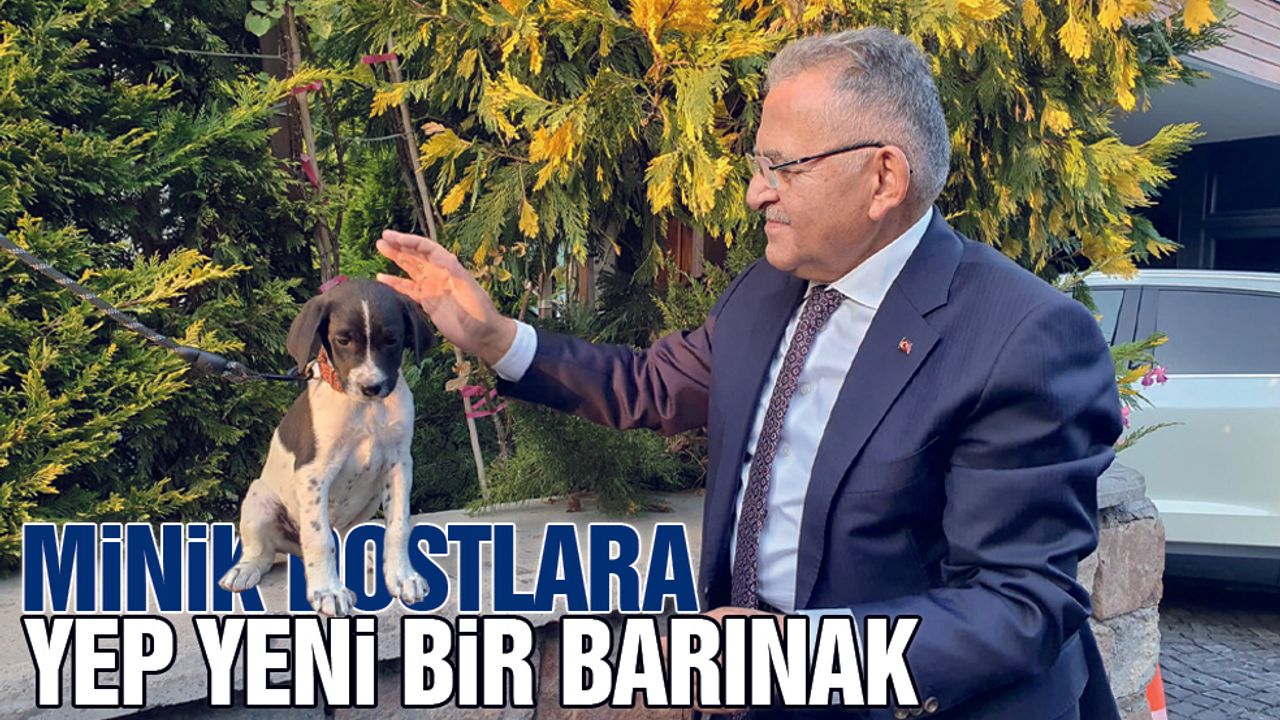 Kayseri'de 500 hayvan kapasiteli yeni bir barınak inşa ediliyor!