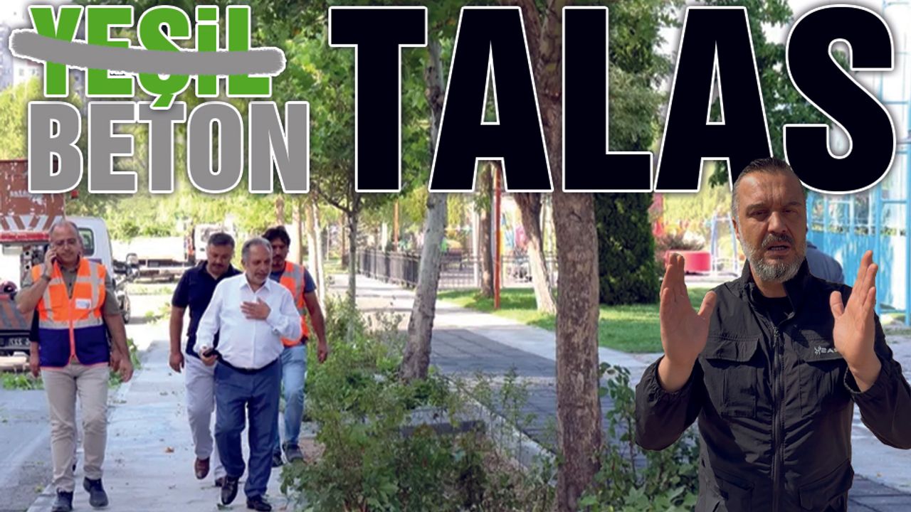 Yeşil Talas Gitti Beton Talas Geldi