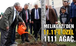 Melikgazi Belediyesi Fidan Değil Ağaç Dikti