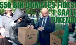 Kocasinan 550 bin Organik Domates Fidesi Dağıttı