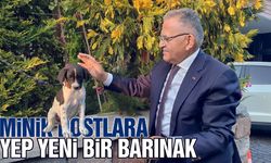 Kayseri'de 500 hayvan kapasiteli yeni bir barınak inşa ediliyor!