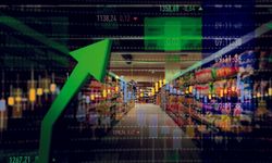 Mayıs Ayı’nda Yıllık Enflasyon 35,41’e Geriledi