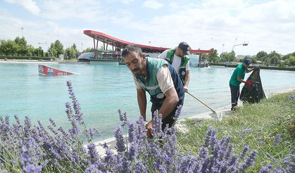 Kayseri'de lavanta hasadı başladı