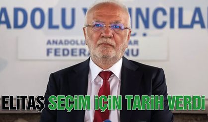 AK Parti Genel Başkan Yardımcısı Elitaş, Seçim İçin Tarih Verdi