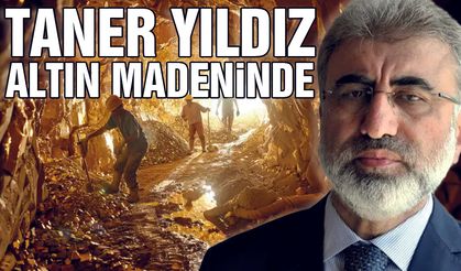 Taner Yıldız, Altın Madenine Yönetici Oldu