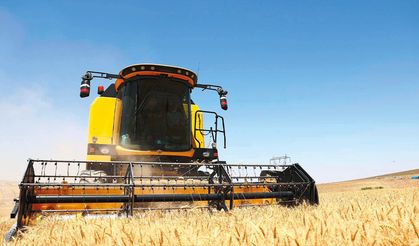 Başkan Çolakbayrakdar, Genç Çiftçiyle Buğday Hasadında