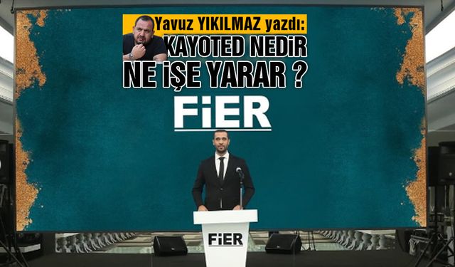 Kayoted Nedir, Ne İşe Yarar ?