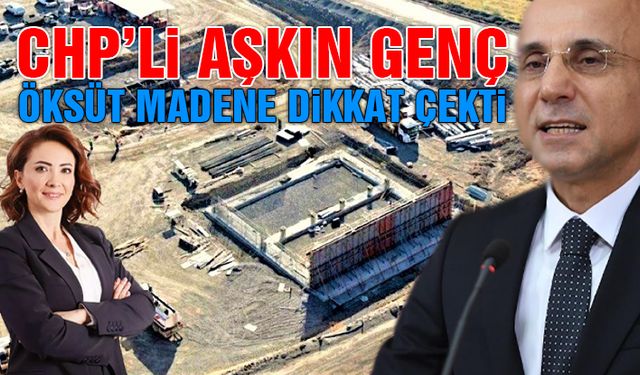 Aşkın Genç, Öksüt Maden'i TBMM'ye Taşıdı