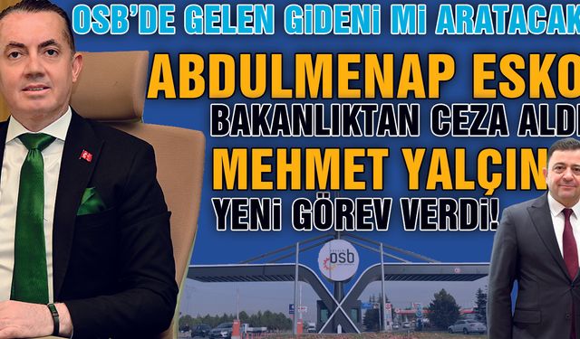 Mehmet Yalçın'ın Esko Sevdası, Skandalı Ortaya Çıkarttı