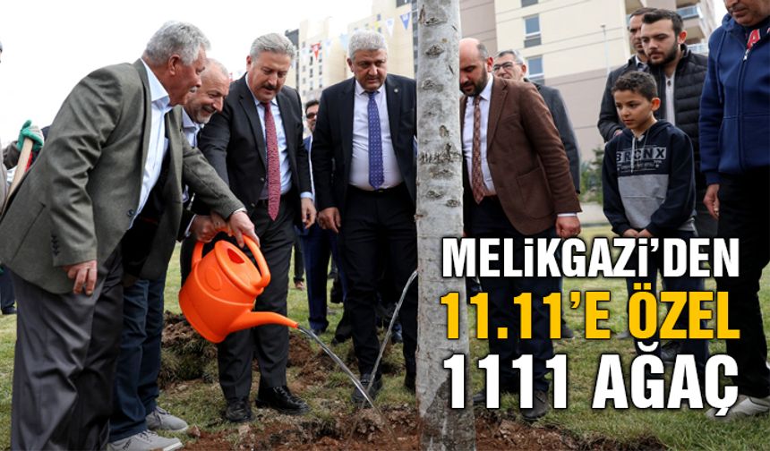 Melikgazi Belediyesi Fidan Değil Ağaç Dikti