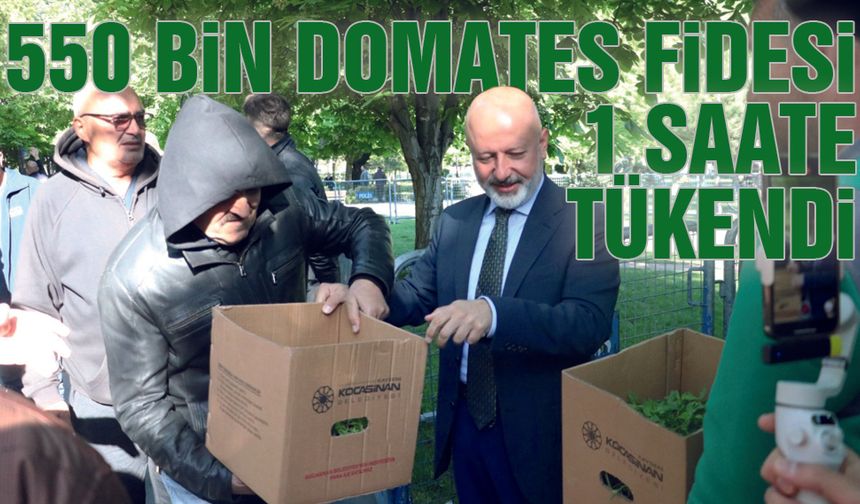 Kocasinan 550 bin Organik Domates Fidesi Dağıttı