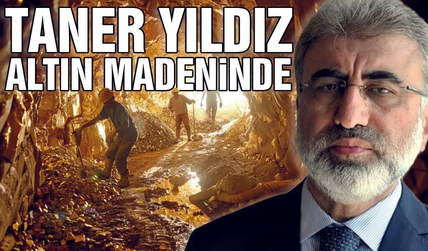 Taner Yıldız, Altın Madenine Yönetici Oldu