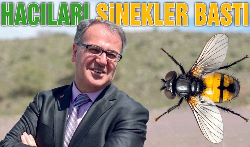 Hacılar Belediyesi Yetersiz, Halk Çareyi Şikayet Var'da Arıyor