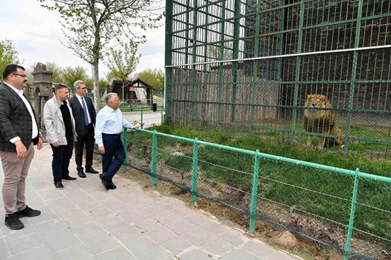 Kayseri Hayvanat Bahçesi Memduh Büyükkılıç