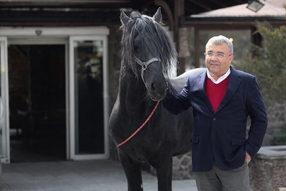 Türker Horoz Burak At Çiftliği