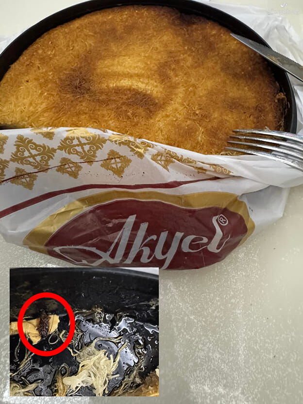 Akyel Pastanesi Böcek-1